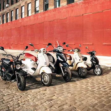 Bike and car rental